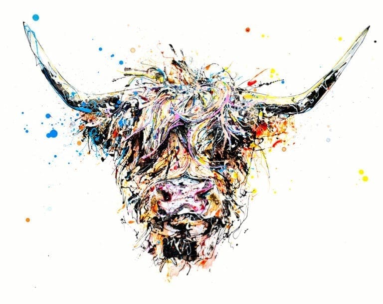 Angus highland cow art print