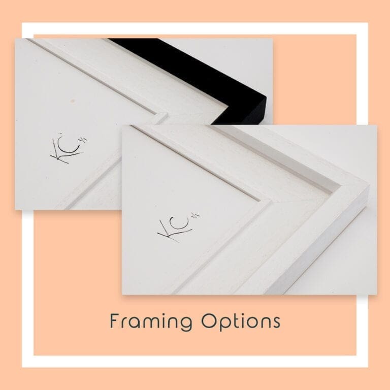 Framing Options for Angus