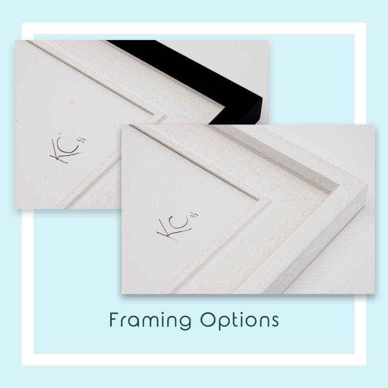 Framing Options