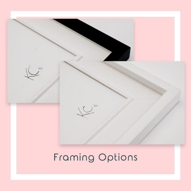 Framing Options for Enchanted Garden