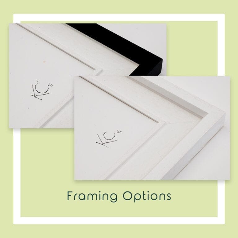 Framing Options