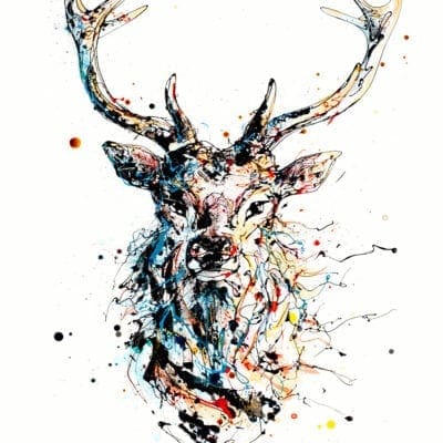 Majestic Stag Red Deer Print