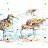 Reflections Curlews Print