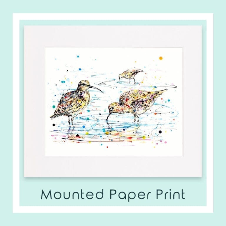 Reflections Curlews Mounted Paper Print