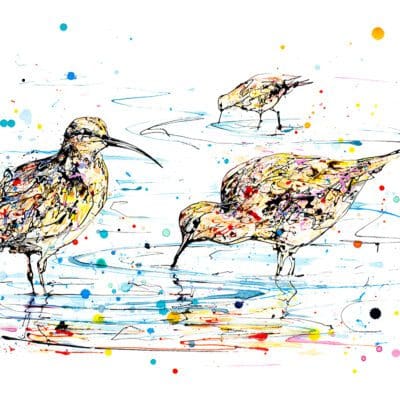 Reflections Curlews Print