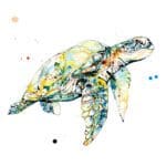 Tranquil - Sea Turtle Print, 30x30cm with Framing Options