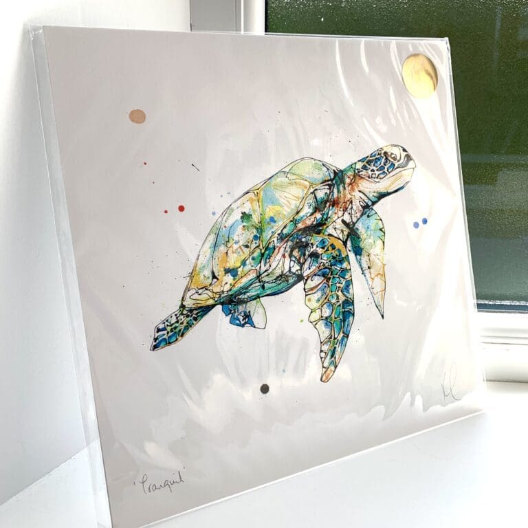 A print of Tranquil by Kathryn Callaghan, which features a green sea turtle drifting peacefully. The 30cm print is presented flat in a clear cello bag with a golden KC sticker in the top right.