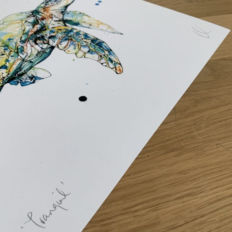 Photograph of Tranquil, a print of a green sea turtle drifting serenely by Kathryn Callaghan, which shows the print's title handwritten in the bottom left corner and the artist's signature in the bottom right, with space between to add a custom personalisation.