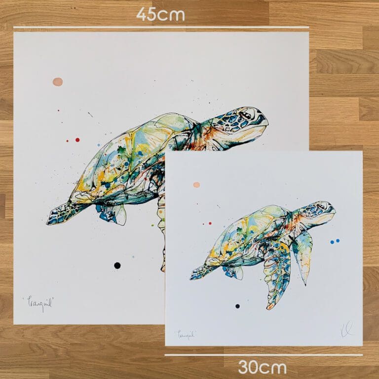 Two prints of Tranquil by Kathryn Callaghan, to show the size difference between the 45cm print and the 30cm print.