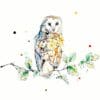 Curio - Barn Owl Print, 30x30cm with Framing Options