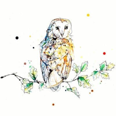 Curio - Barn Owl Print, 30x30cm with Framing Options