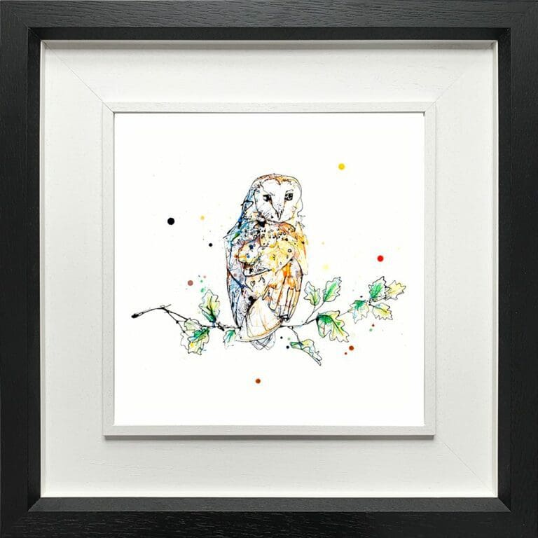 Curio Barn Owl Curiosity Birds of Prey Paper Giclee Fine Art Print shown in Deluxe Black Frame