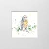 A digital mockup showing how a miniature print of Curio by Kathryn Callaghan will look presented in a 23cm mount. The print features a barn owl looking back over its shoulder at the viewer.