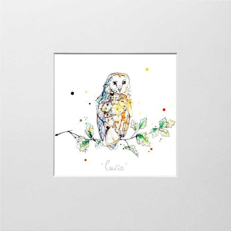 A digital mockup showing how a miniature print of Curio by Kathryn Callaghan will look presented in a 23cm mount. The print features a barn owl looking back over its shoulder at the viewer.