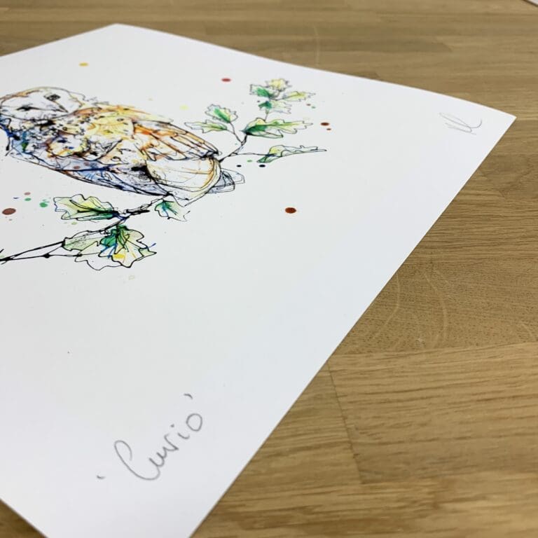 Photograph of Curio, a print of a barn owl by Kathryn Callaghan, which shows the print's title handwritten in the bottom left corner and the artist's signature in the bottom right, with space between to add a custom personalisation.