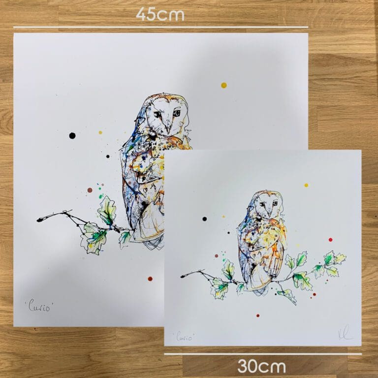 Two prints of Curio by Kathryn Callaghan, to show the size difference between the 45cm print and the 30cm print.