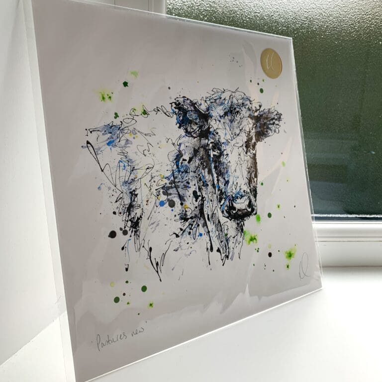 A print of Pastures New by Kathryn Callaghan, which features a scruffy dairy cow looking at the viewer. The 30cm print is presented flat in a clear cello bag with a golden KC sticker in the top right.