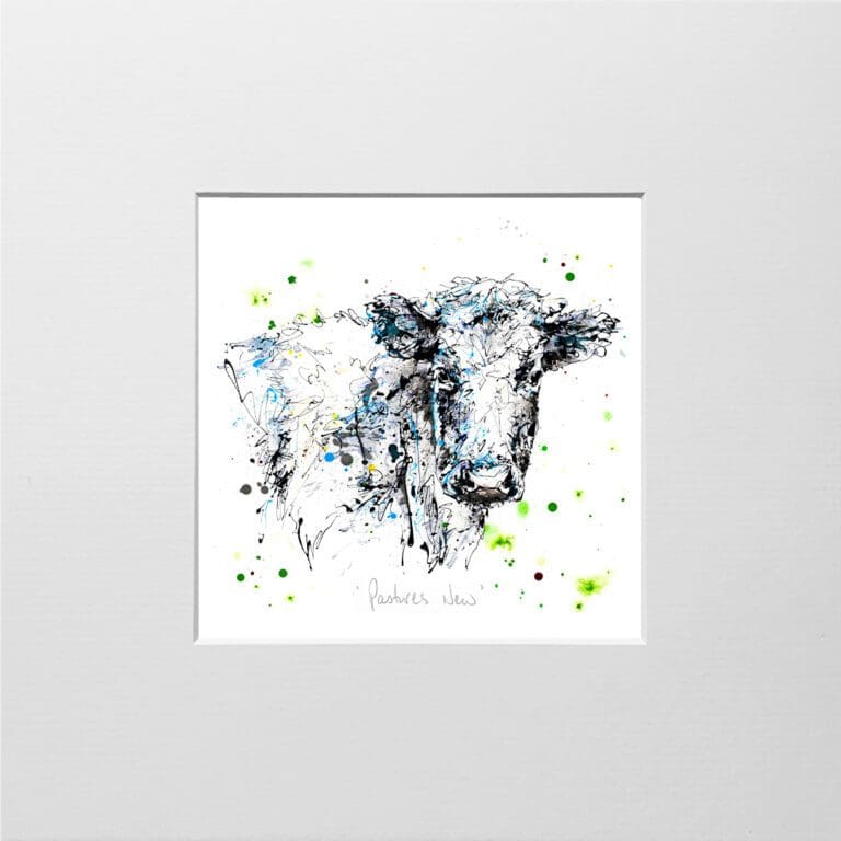 A digital mockup showing how a miniature print of Pastures New by Kathryn Callaghan will look presented in a 23cm mount. The print features features a scruffy dairy cow looking at the viewer.