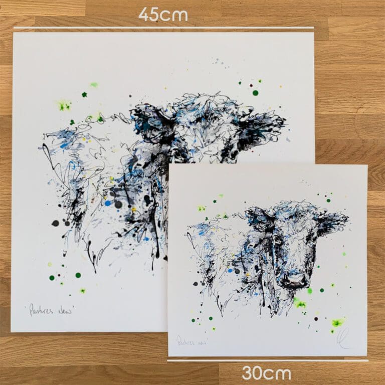 Two prints of Pastures New, a cow print by Kathryn Callaghan, to show the size difference between the 45cm print and the 30cm print.