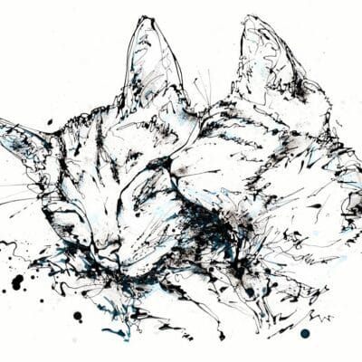 Affection - Cat Print, 45x56cm with Mount Options