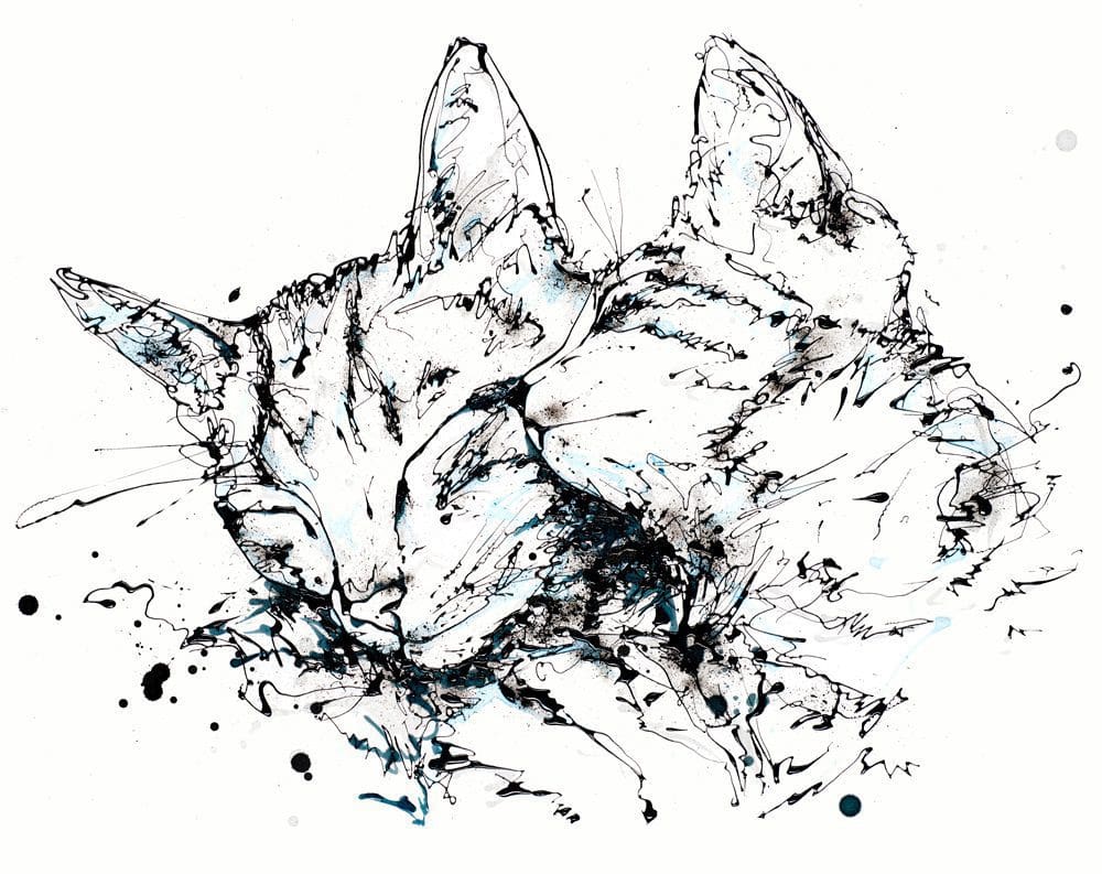 Cat study Art Print