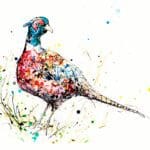 Resplendent - Pheasant Print, 45x56cm with Mount Options