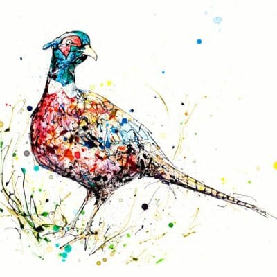 Resplendent - Pheasant Print, 45x56cm with Mount Options