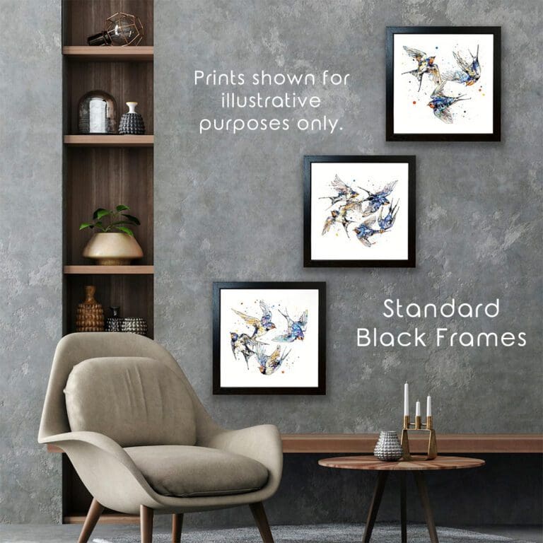 Three prints of swallows hung in standard black frames in situ on a grey wall.