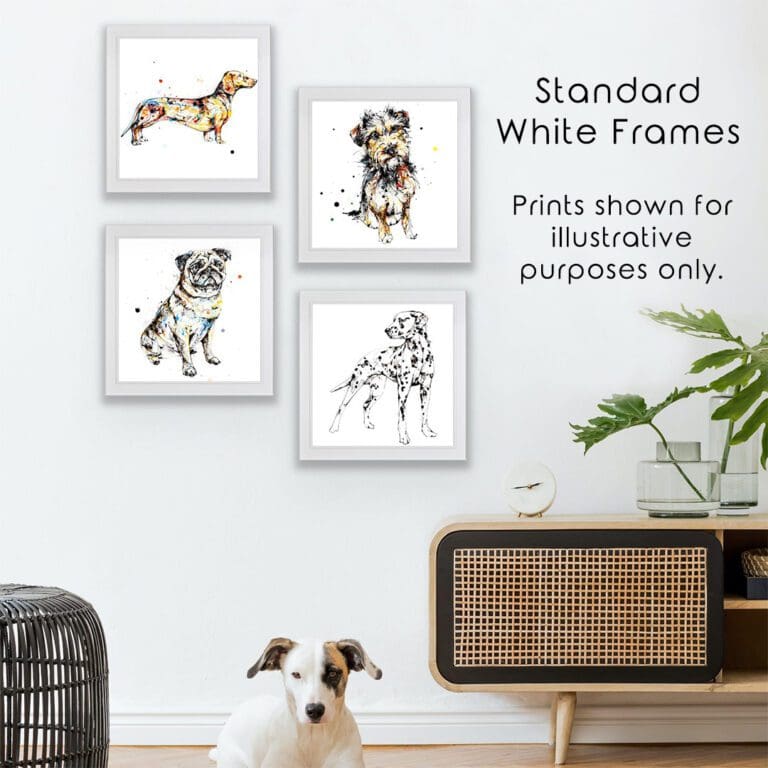 Four prints of dogs hung in Standard White Frames in situ in a white room with a plant and a dog.