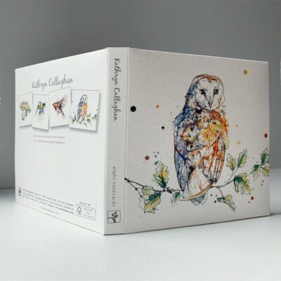 The front cover and spine of the paper wallet containing the gift set of eight greetings cards by Kathryn Callaghan. The spine reads "Kathryn Callaghan eight notecards", and the cover features Curio, a painting of a barn owl perched on an oak branch.