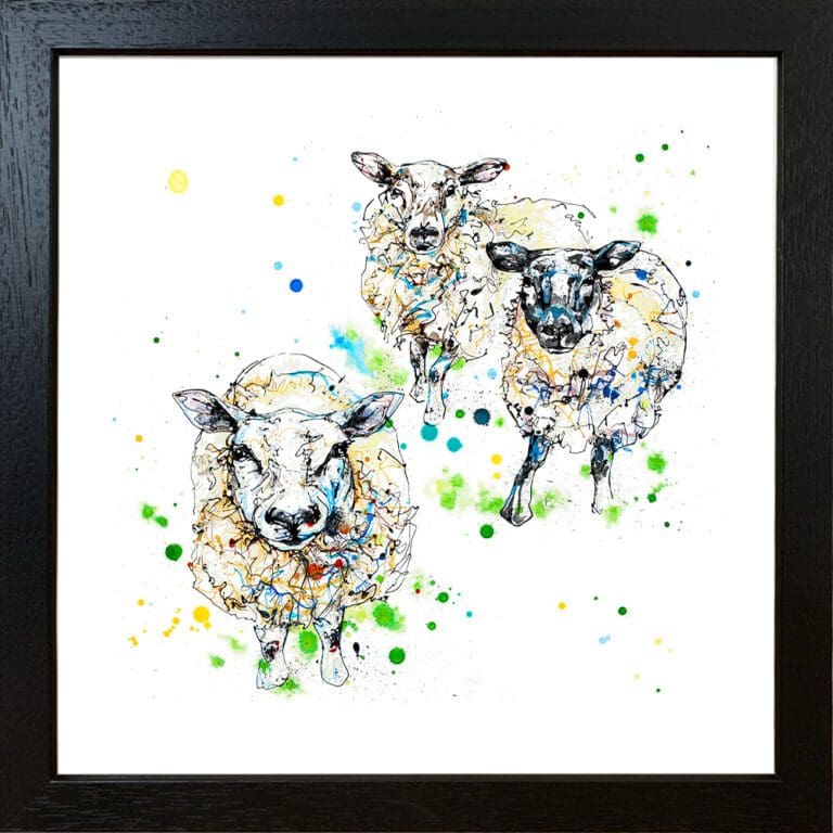 All Ears Sheep Print by Kathryn Callaghan shown in a Standard Black Frame