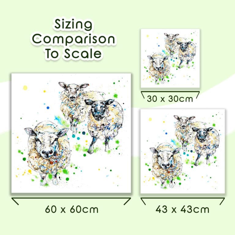 All Ears Sheep Print by Kathryn Callaghan shown in a graphic comparing the three available sizes