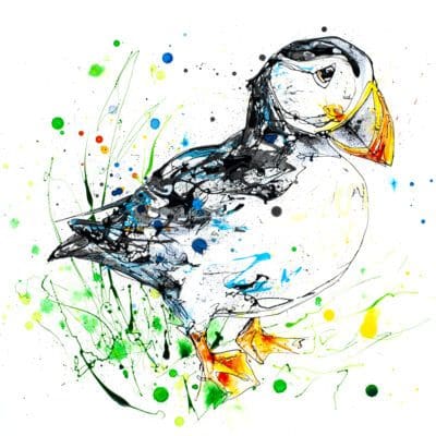 Bashful Puffin Print by Kathryn Callaghan