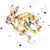 Dash, a print of a running hare by Northern Ireland artist Kathryn Callaghan