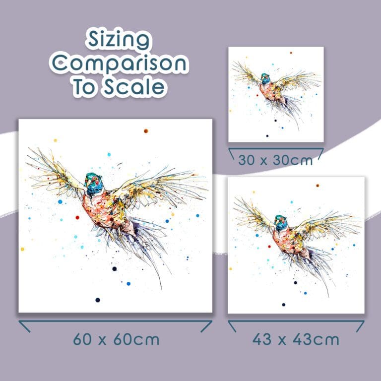 The three different sizes a print of a flying pheasant called Fanfare is available in, including their dimensions: 60x60cm, 43x43cm, and 30x30cm.