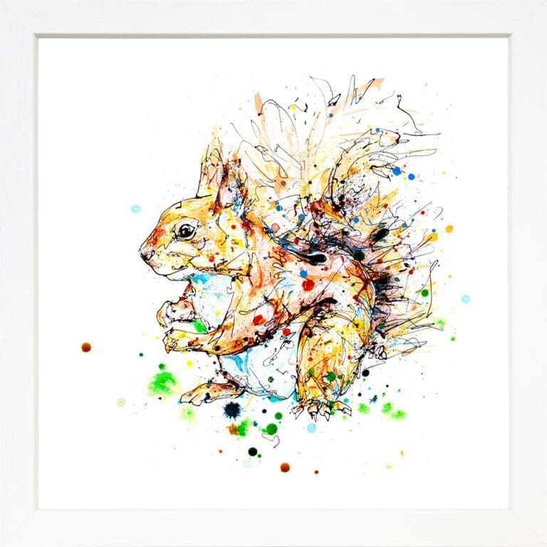 Hide and Seek Red Squirrel print by Kathryn Callaghan shown in a Standard White Frame