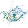 Splash, a print of two swimming dolphins by Northern Ireland artist Kathryn Callaghan