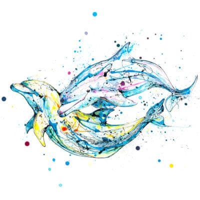 Splash, a print of two swimming dolphins by Northern Ireland artist Kathryn Callaghan