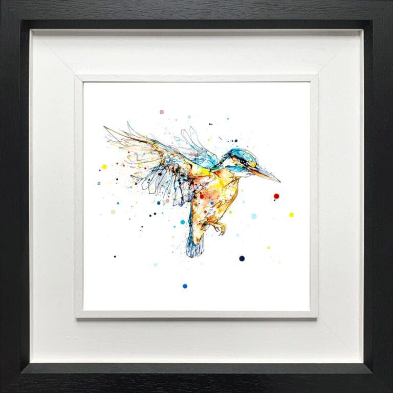 The Golden Hour kingfisher in flight print by Kathryn Callaghan shown in a Deluxe Black Frame