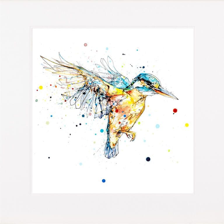 The Golden Hour kingfisher in flight print by Kathryn Callaghan shown in a mountboard ready for framing