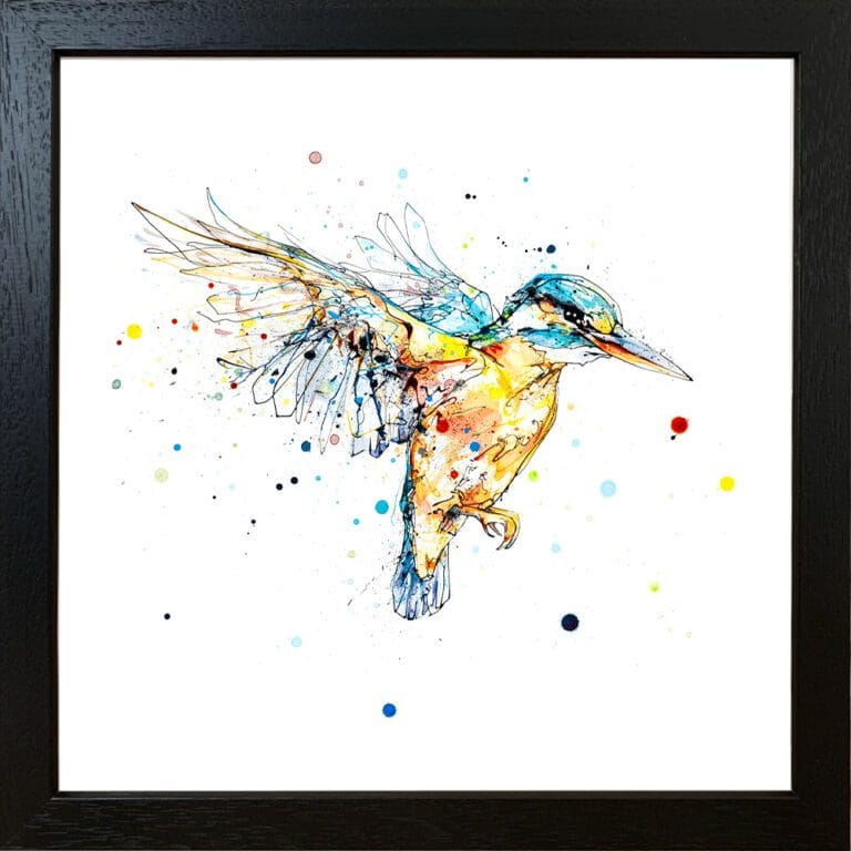 The Golden Hour kingfisher in flight print by Kathryn Callaghan shown in a Standard Black Frame