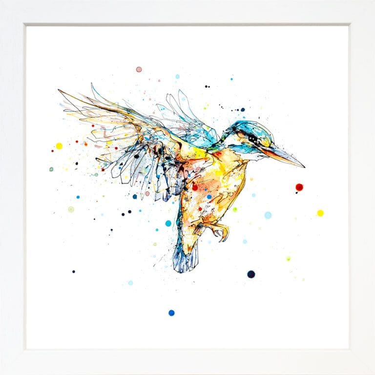 The Golden Hour kingfisher in flight print by Kathryn Callaghan shown in a Standard White Frame