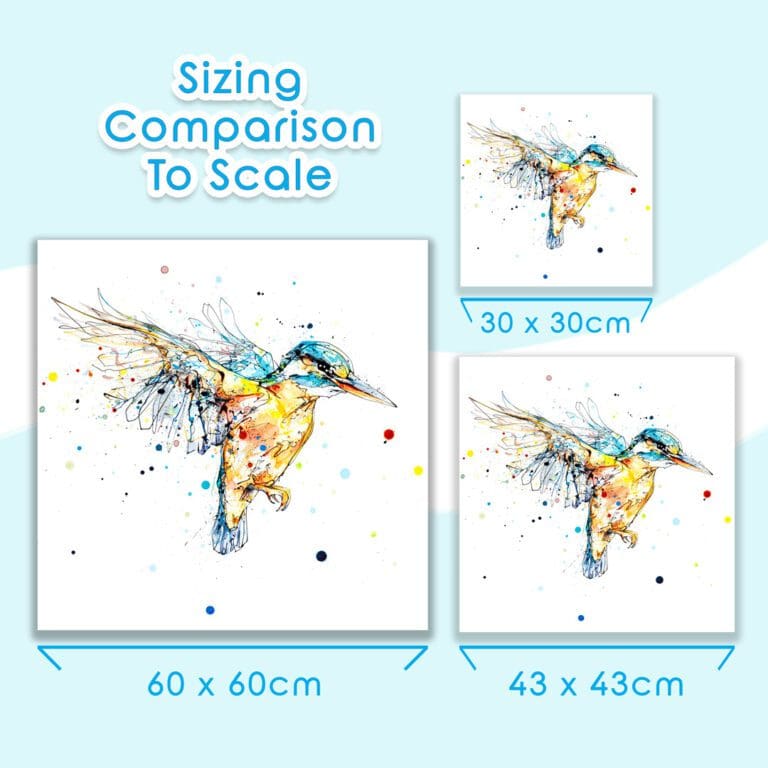 The three available sizes The Golden Hour, a flying kingfisher print by Kathryn Callaghan, are shown in comparison to one another with their dimensions; 60x60cm, 43x43cm, and 30x30cm.