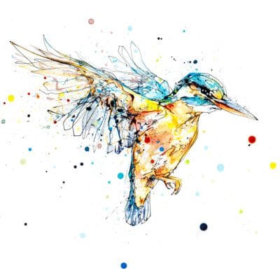 The Golden Hour, a print of a kingfisher in flight by Northern Ireland artist Kathryn Callaghan