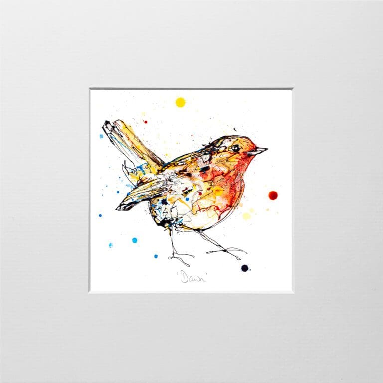 A digital mockup showing how a miniature print of Dawn by Kathryn Callaghan will look presented in a 23cm mount. The print features features a bright eyed robin looking at the viewer.