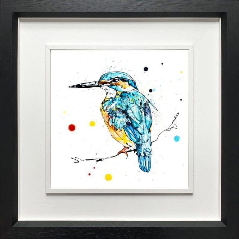 Daybreak Kingfisher print by Kathryn Callaghan shown in a deluxe black frame