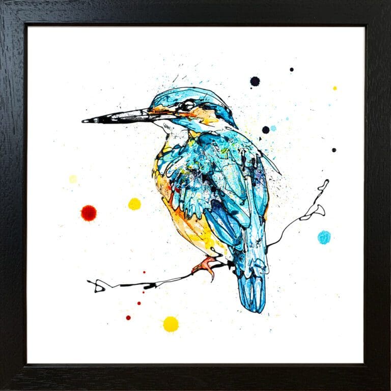 Daybreak Kingfisher print by Kathryn Callaghan shown in a standard black frame