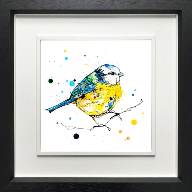 Sunlit Blue Tit print by Kathryn Callaghan shown in deluxe black frame