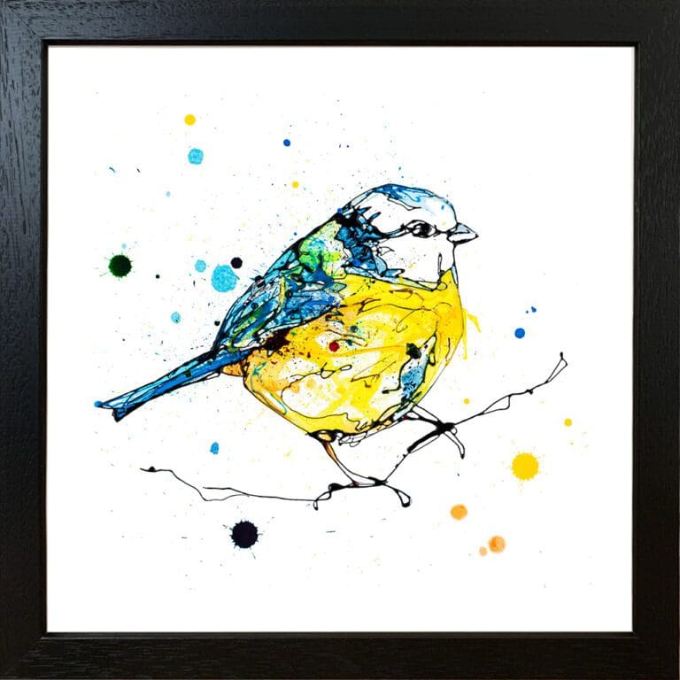 Sunlit Blue Tit print by Kathryn Callaghan shown in standard black frame