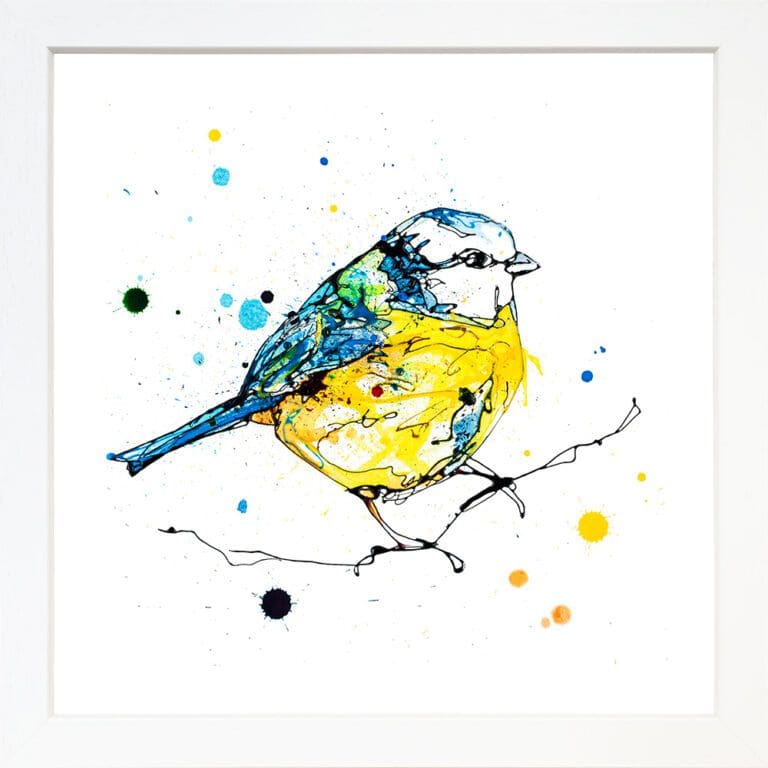 Sunlit Blue Tit print by Kathryn Callaghan shown in standard white frame